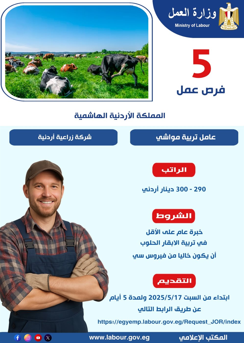 المنشور