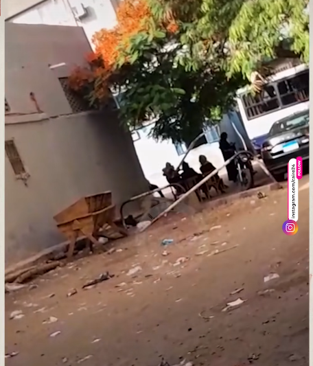 أسرة أحمد الدحوي&nbsp;