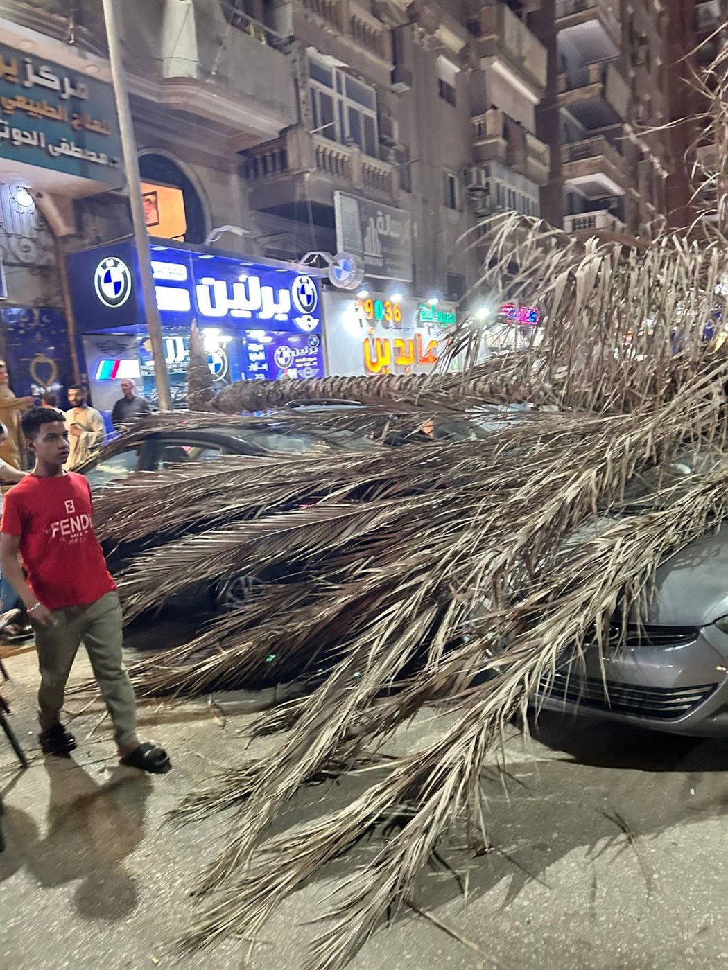 سقوط نخلة على عدد من السيارات&nbsp;