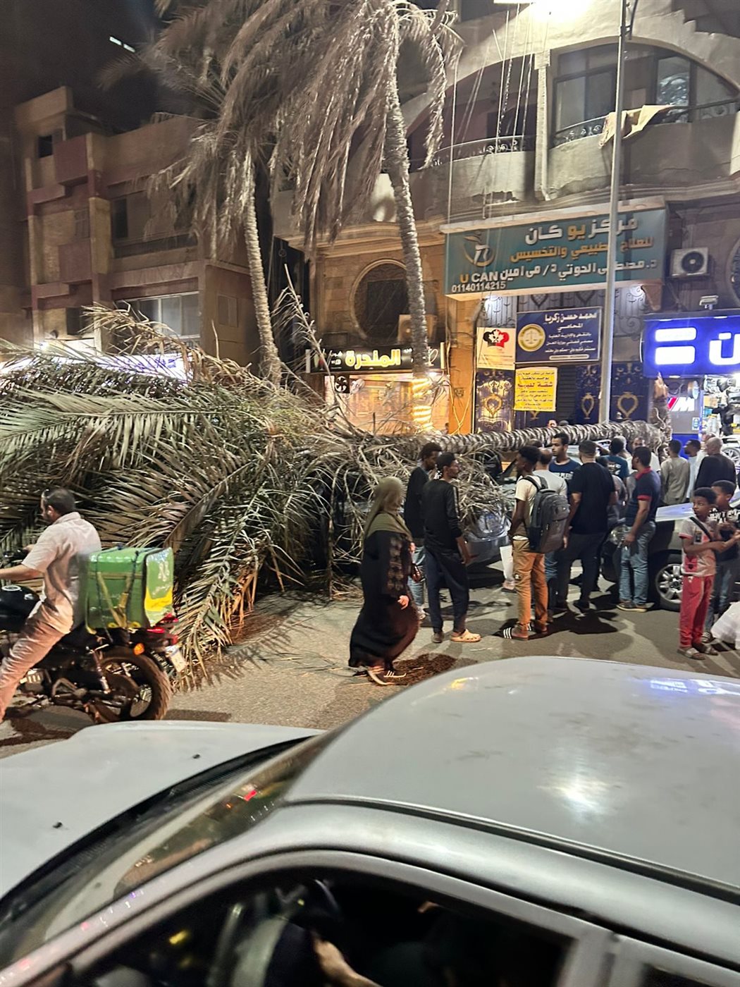 سقوط نخلة على عدد من السيارات&nbsp;