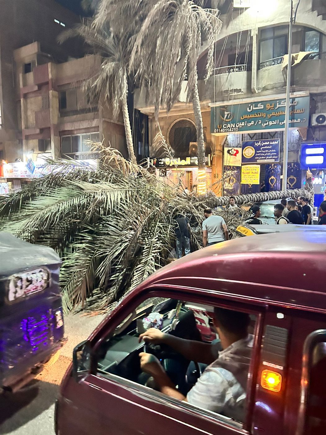 سقوط نخلة على عدد من السيارات&nbsp;