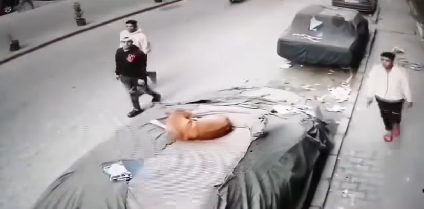 فيديو التعدي بالضرب على كلب&nbsp;