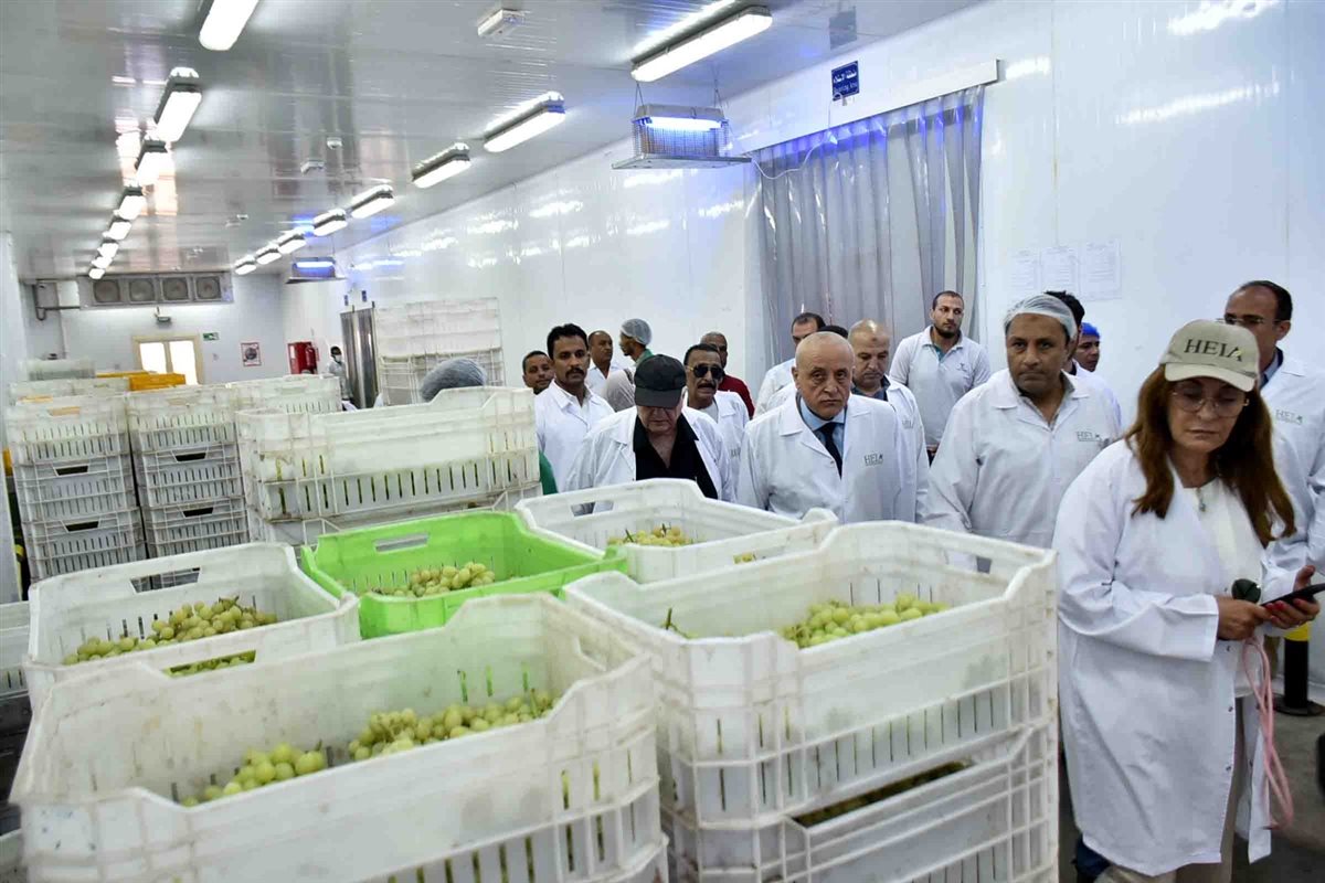 جولة محافظ الأقصر&nbsp;
