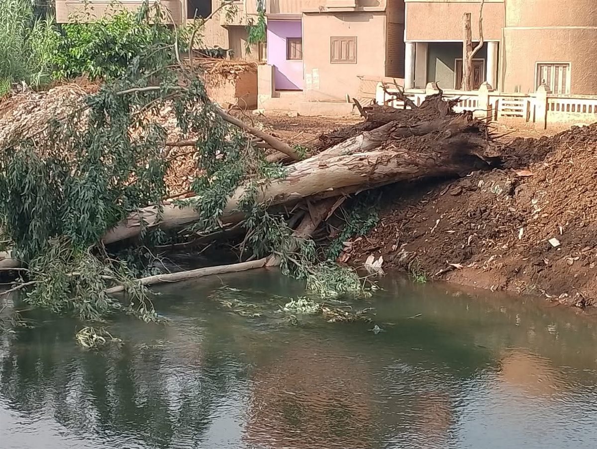التعامل مع مياه الأمطار في المنوفية&nbsp;