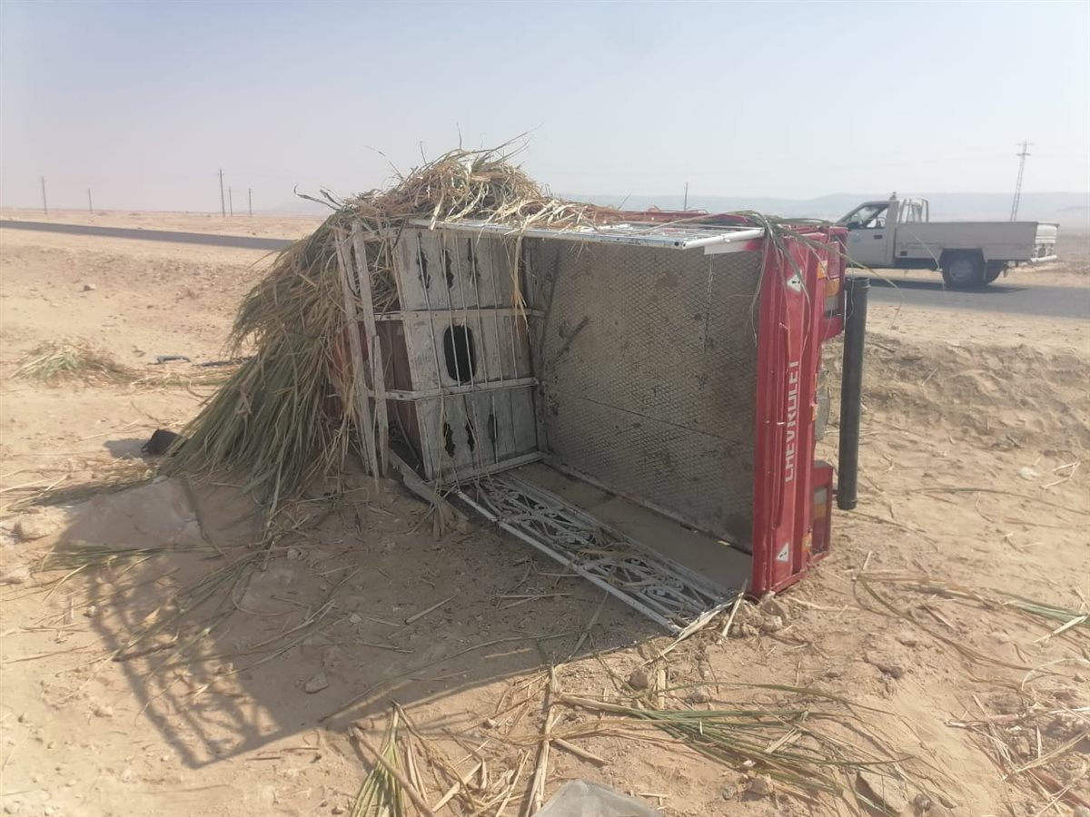 انقلاب سيارة ربع نقل محملة بالعمال بأسيوط&nbsp;