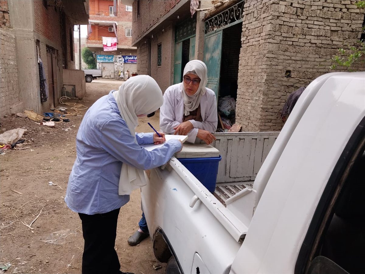 تطعيم وتحصين 260 كلب ضال &nbsp;في بعض المناطق بمحافظ الجيزة&nbsp;