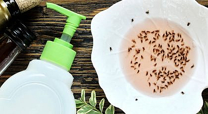 طرق طبيعية للتخلص من الذباب والناموس