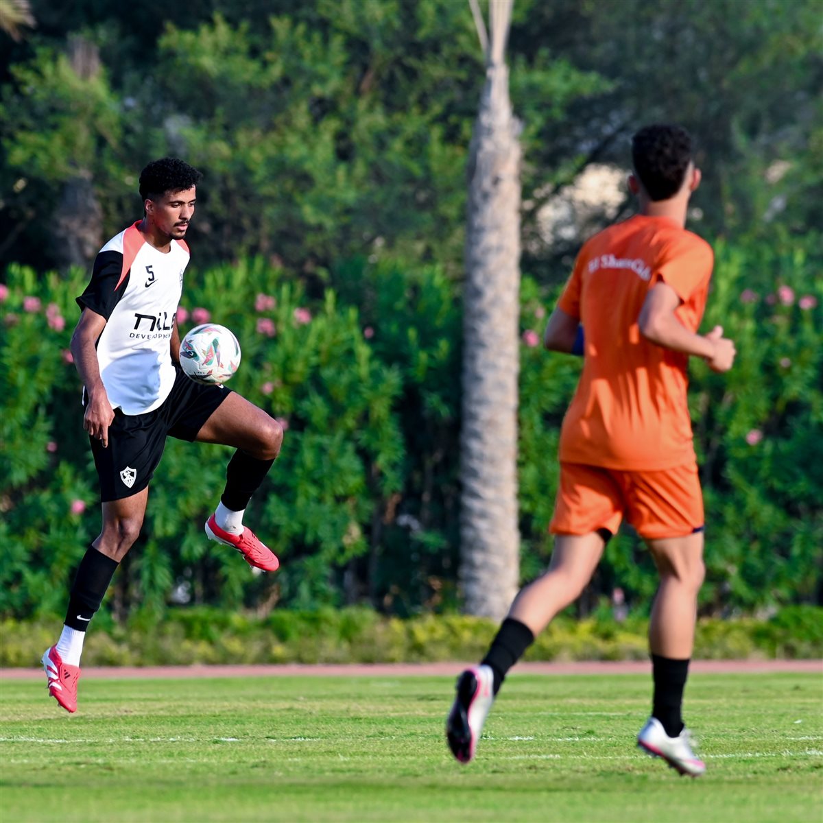 <strong>صور من مباراة الزمالك والشمس الودية&nbsp;</strong>