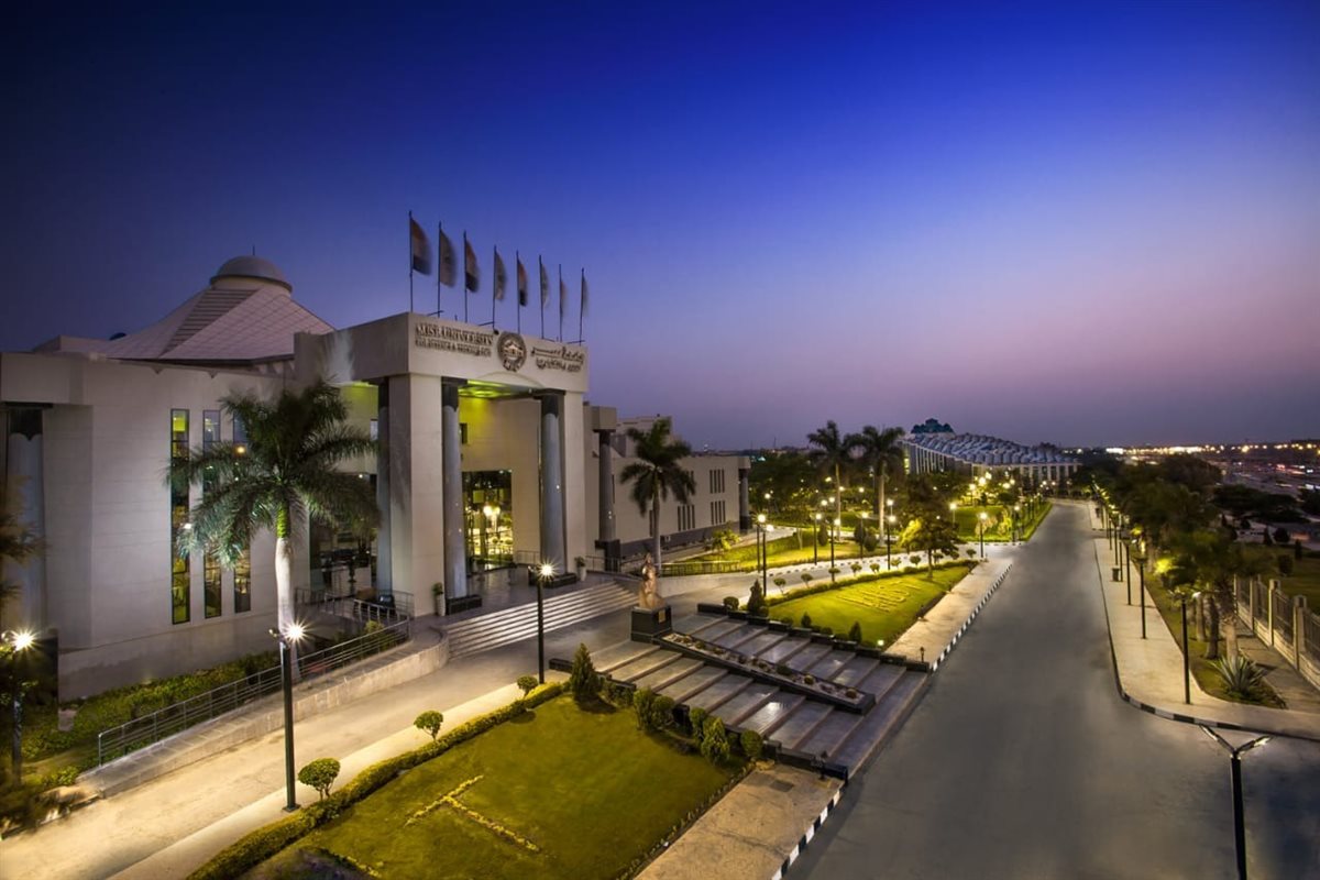 جامعة مصر