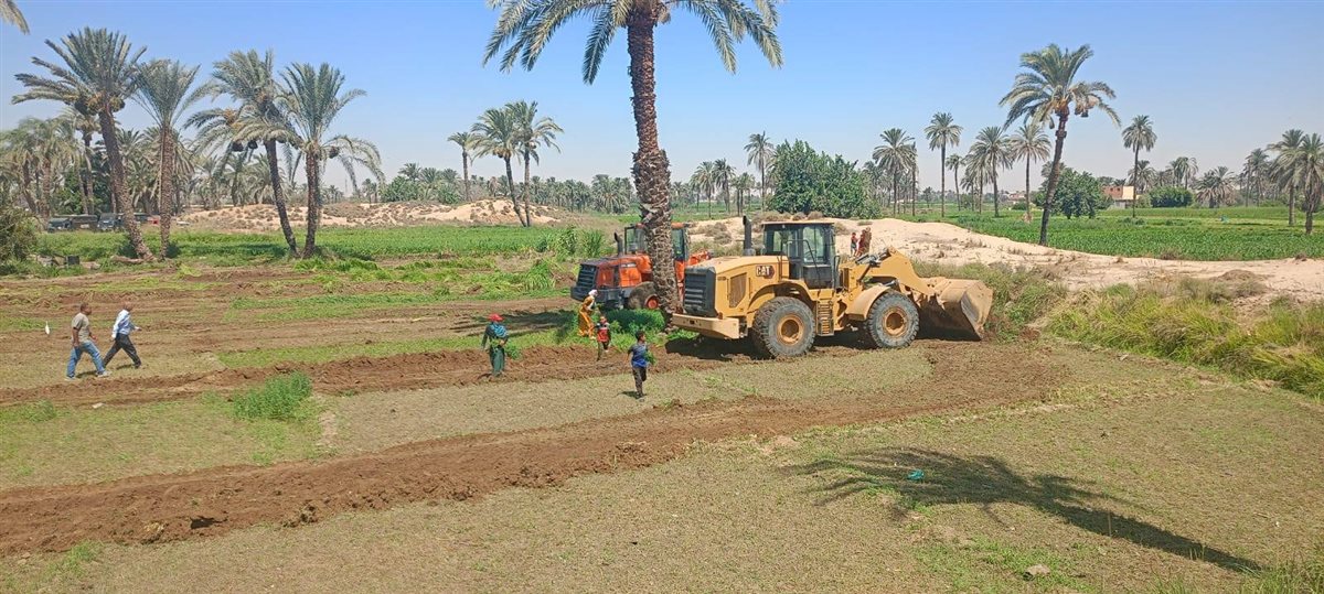 &nbsp;إزالة للتعديات الزراعية بمنطقة آثار الشيخ مسعود بمحافظة المنيا