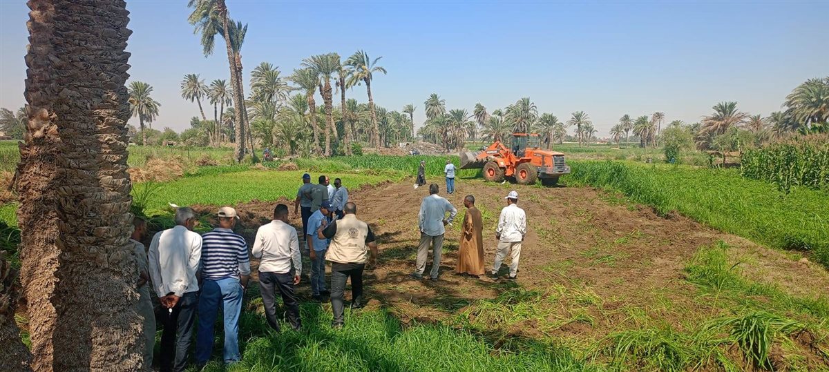 &nbsp;إزالة للتعديات الزراعية بمنطقة آثار الشيخ مسعود بمحافظة المنيا