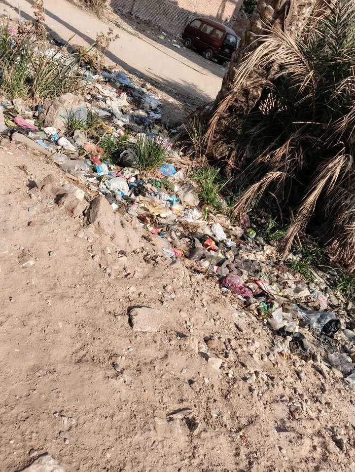 القمامة&nbsp;