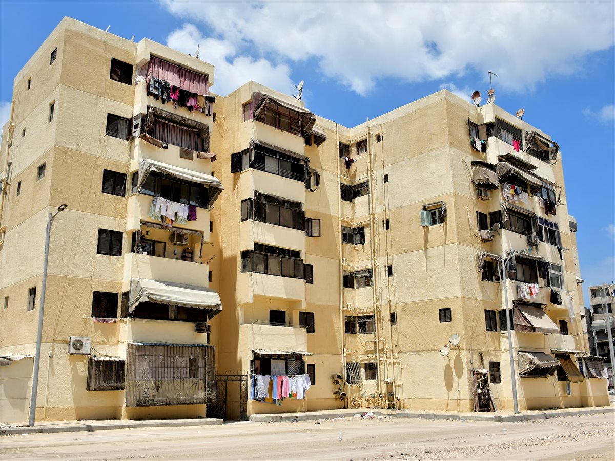 الجهود التنفيذية ببورسعيد 