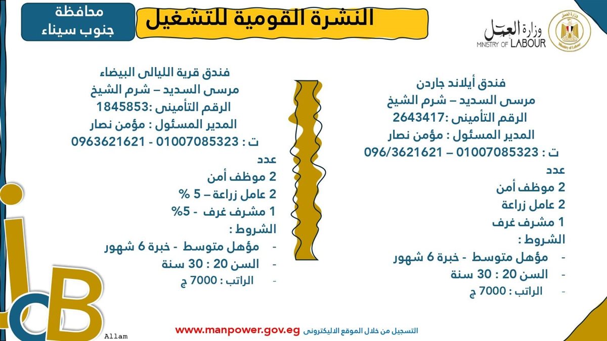 وظائف وزارة العمل