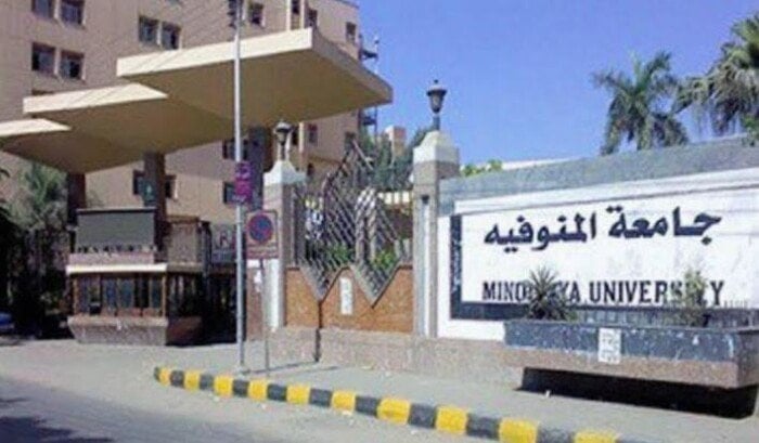 كلية الذكاء الاصطناعي جامعة المنوفية