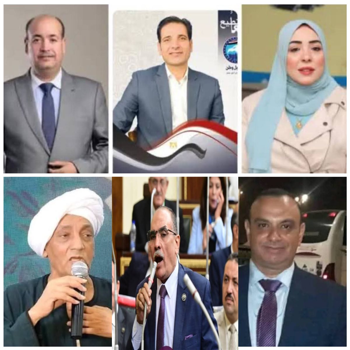 الفائزين في انتخابات مجلس الشيوخ بقنا&nbsp;