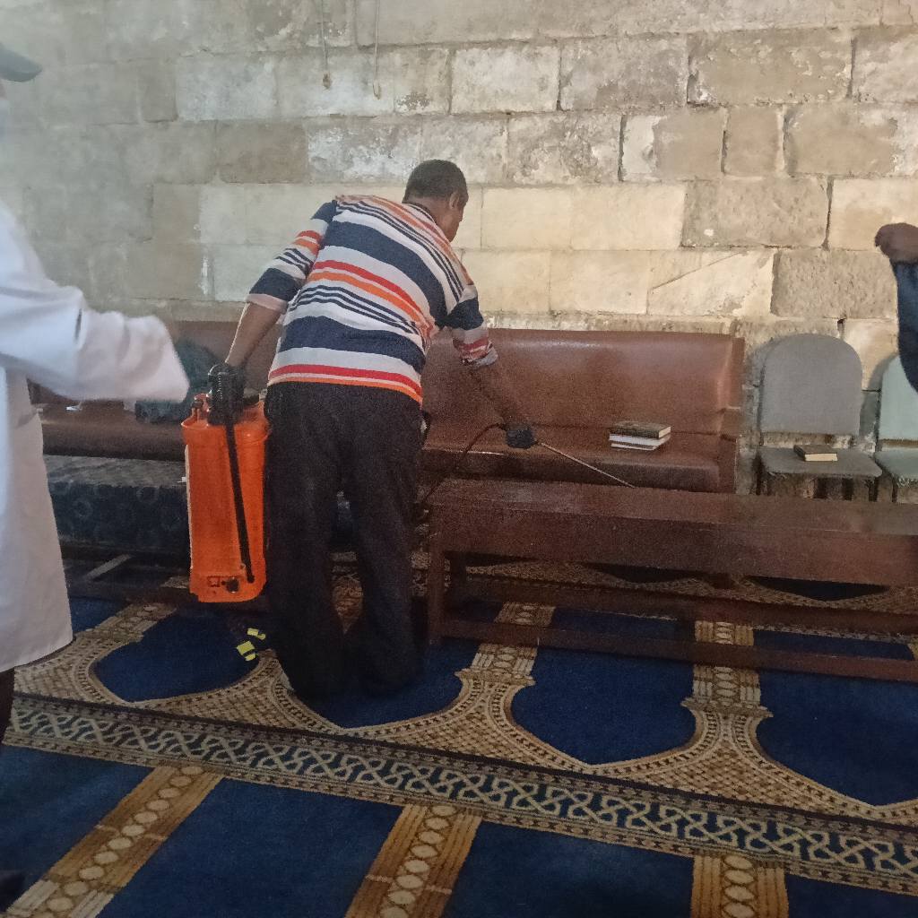 &nbsp;تطهير المساجد وحماية التراث على يد فرق الأزمات بوزارة السياحة