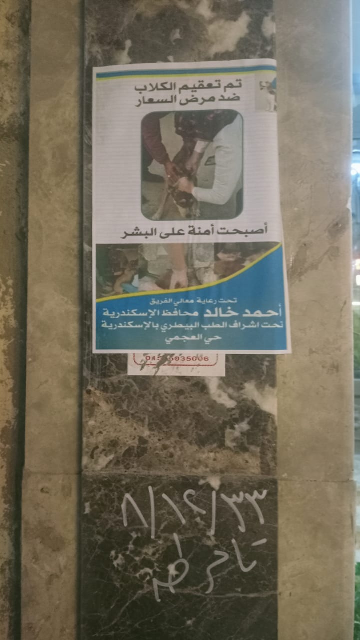 حملات تطعيم&nbsp;