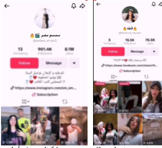 القبض على التيك توكر سمسم مصر وزوجته قطة&nbsp;
