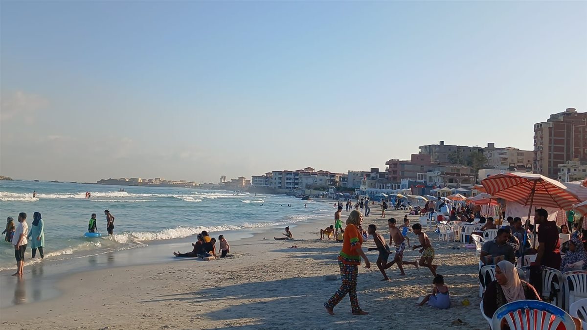 شواطئ الإسكندرية&nbsp;