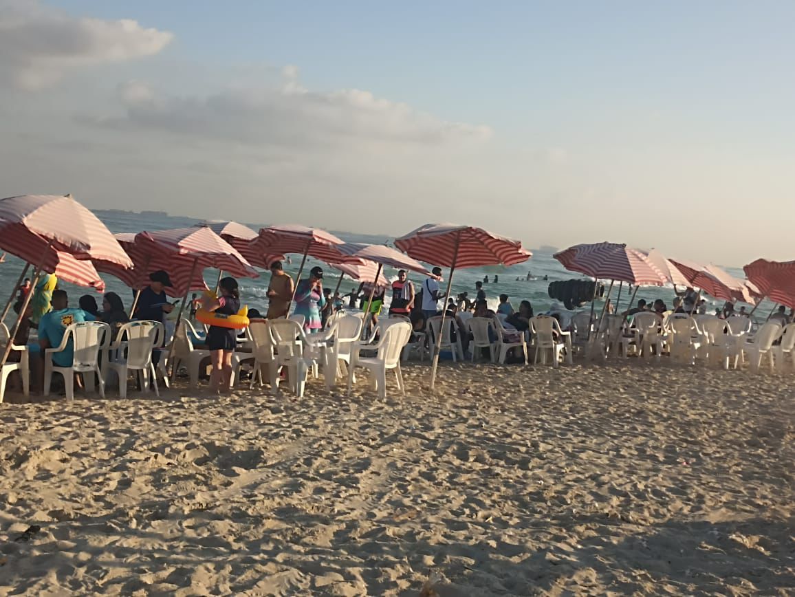 شواطئ الإسكندرية&nbsp;