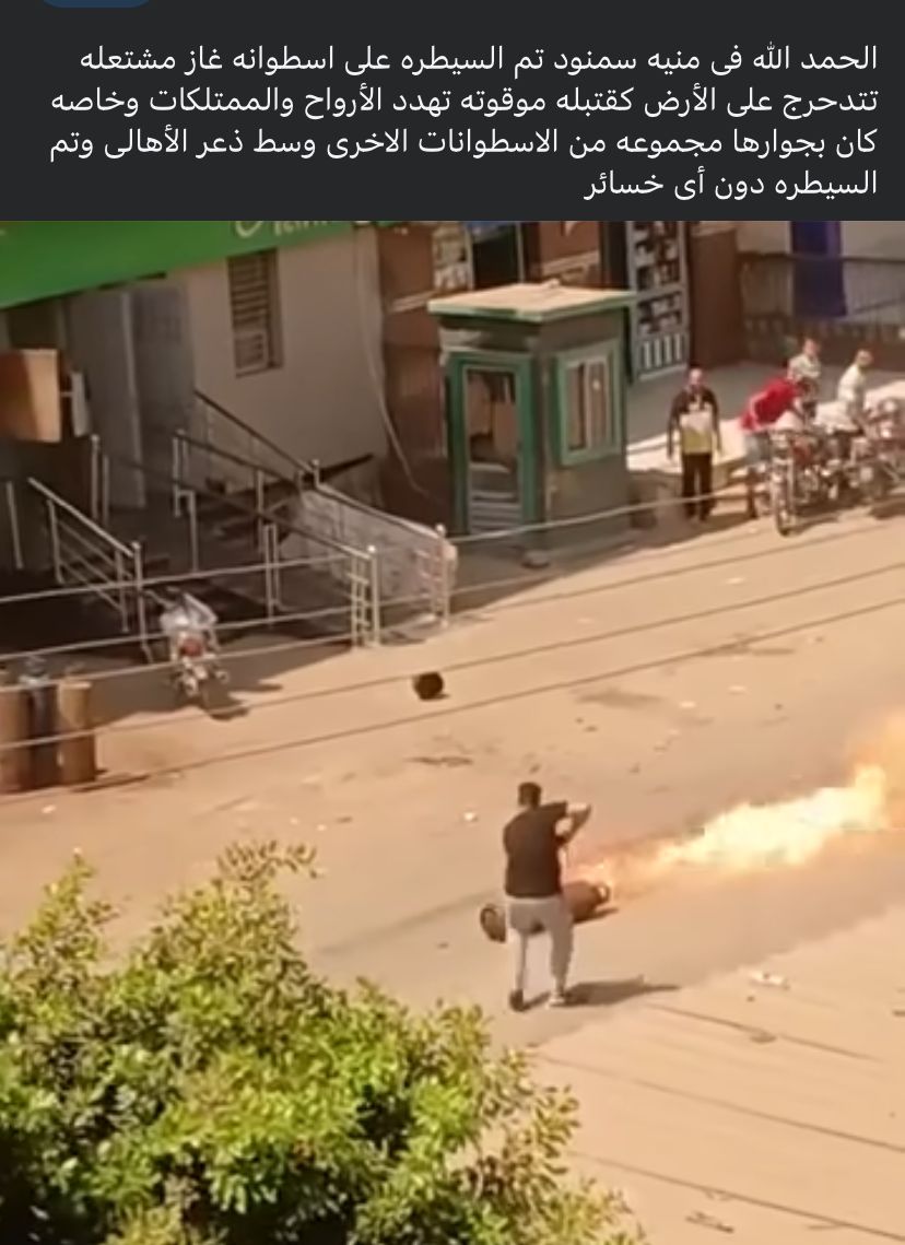منشور عبر فيسبوك حول شجاعة المصريين&nbsp;