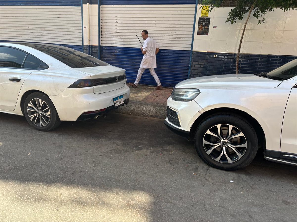 حملة بيطرية بدمنهور لتحصين الكلاب الحرة&nbsp;