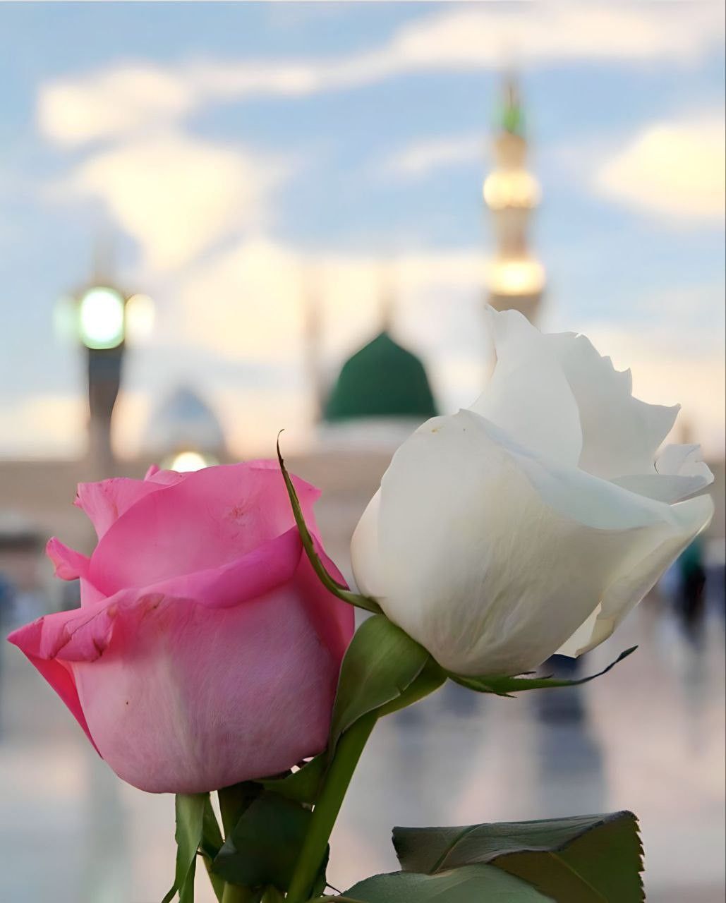 صور تهنئة المولد النبوي 2025