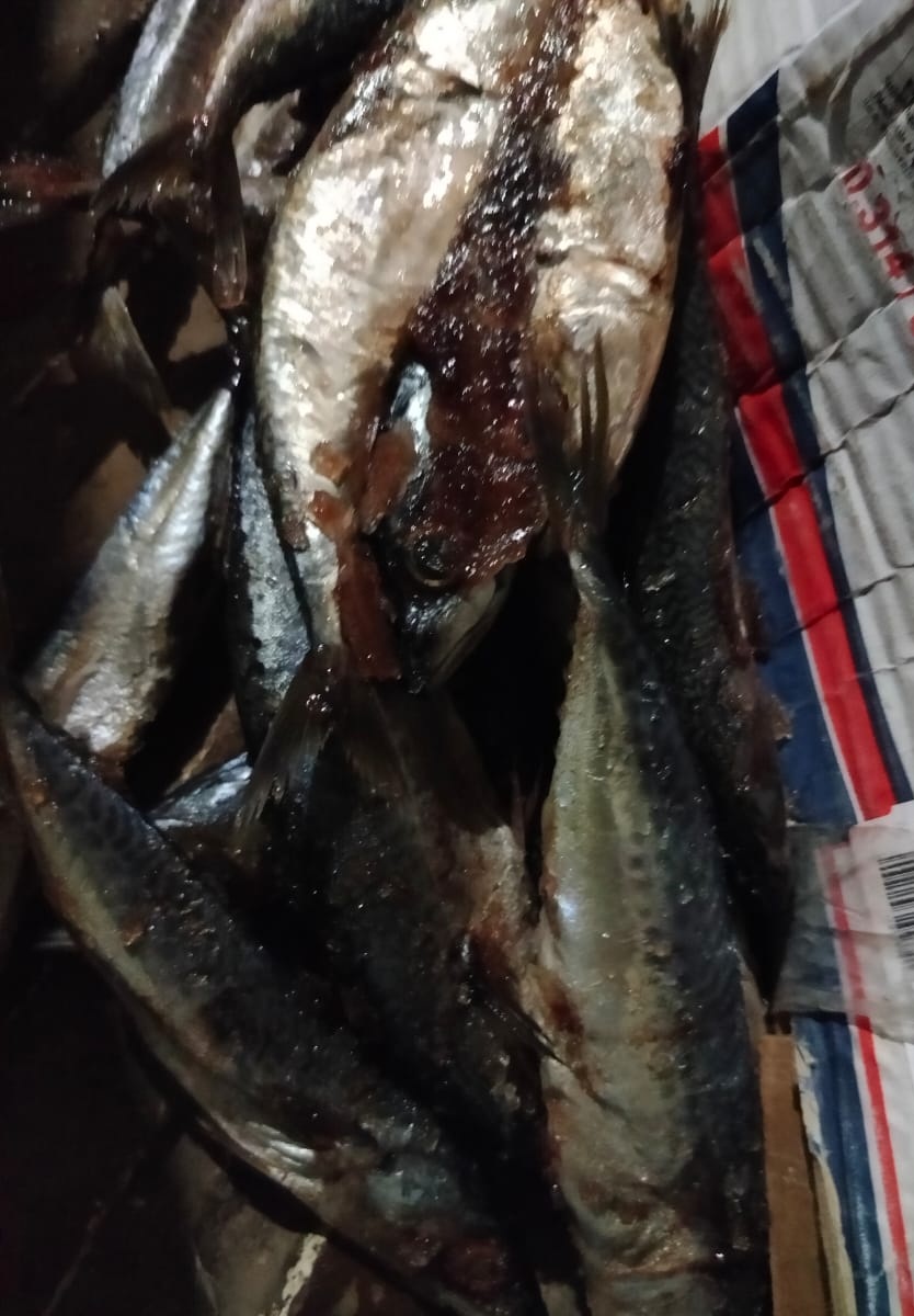 المضبوطات 