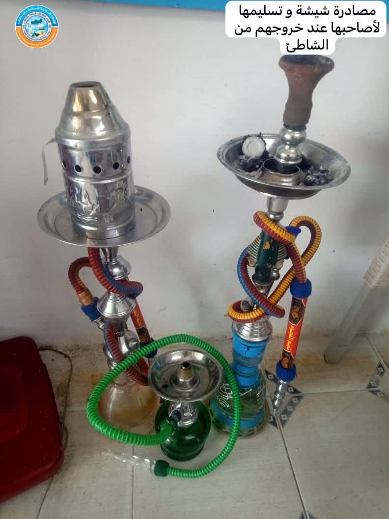 ضبط شيش