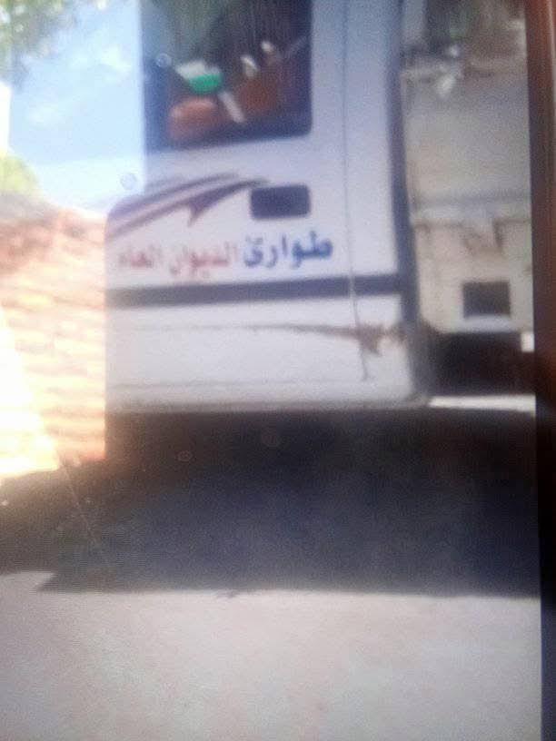 الصور المتداولة&nbsp;