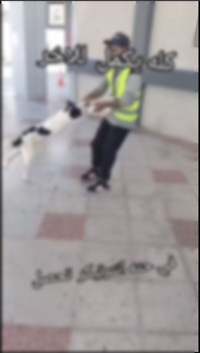 &nbsp;القبض علي عامل بنزينة لتعديه علي كلب بمطروح&nbsp;
