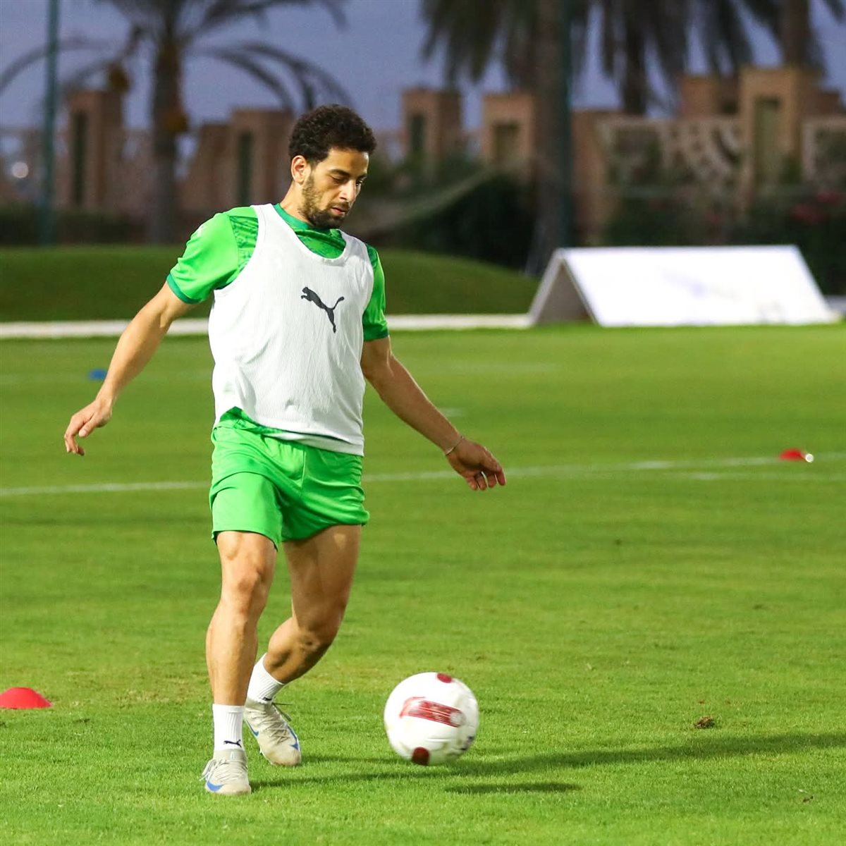 <strong>محمد الشامي&nbsp;</strong>