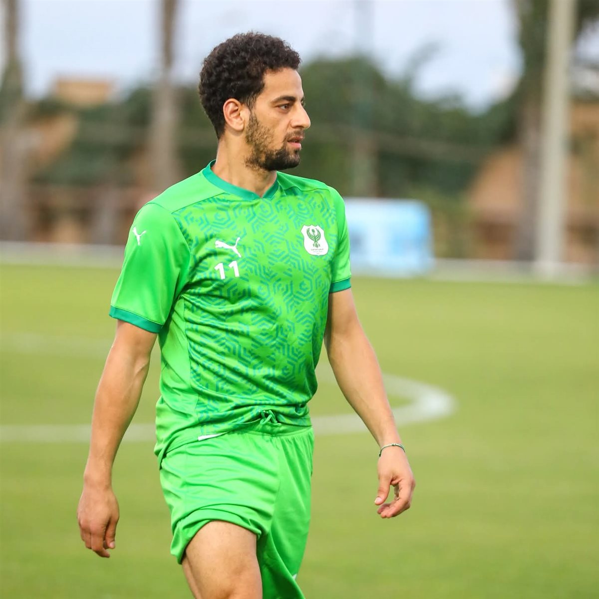 <strong>محمد الشامي&nbsp;</strong>