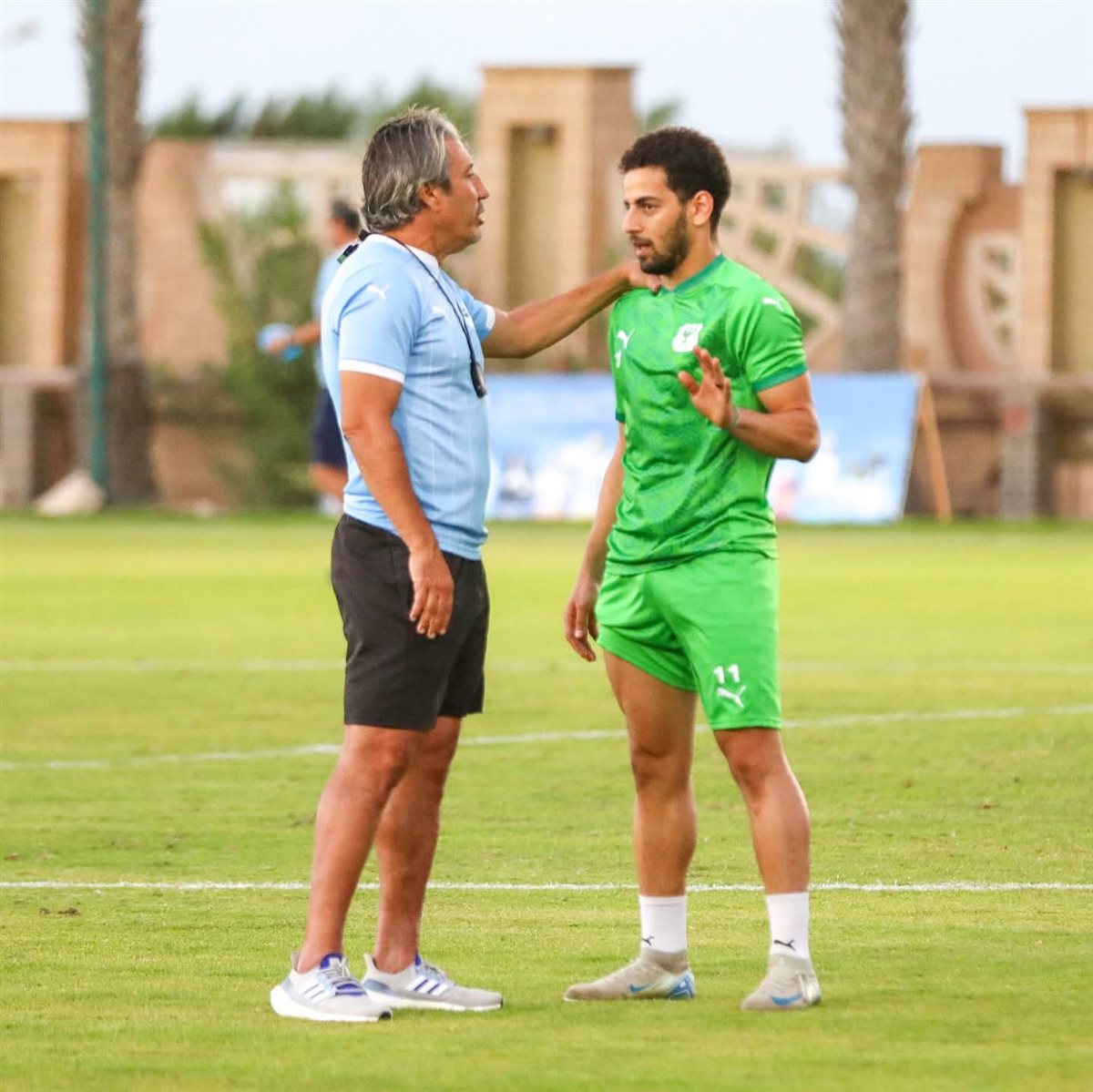 <strong>محمد الشامي&nbsp;</strong>