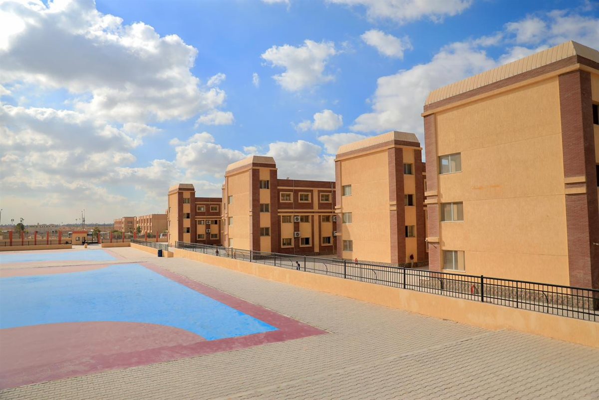 &nbsp;المدارس المصرية الألمانية