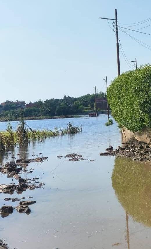 جزيرة داود بالمنوفية&nbsp;