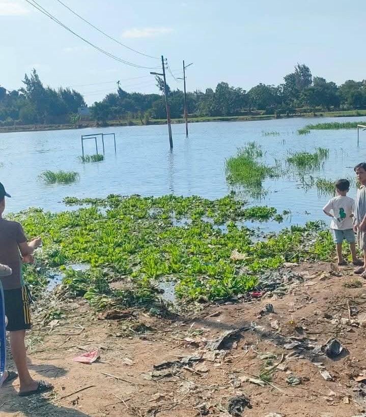 جزيرة داود بالمنوفية&nbsp;