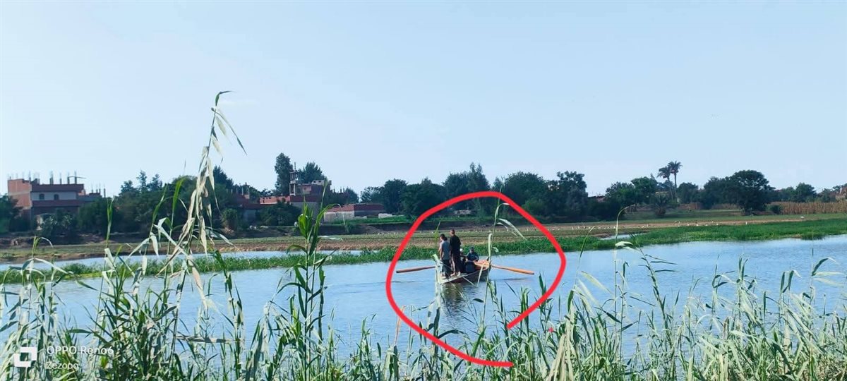 جزيرة داود بالمنوفية&nbsp;