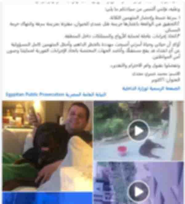 الواقعة