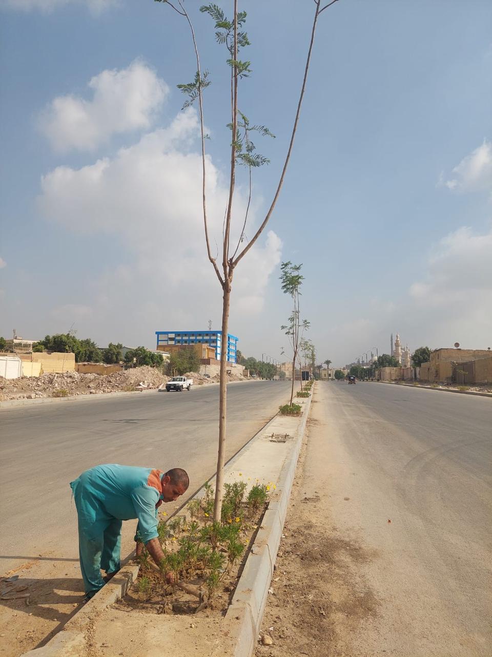 أعمال التشجير والتجميل&nbsp;