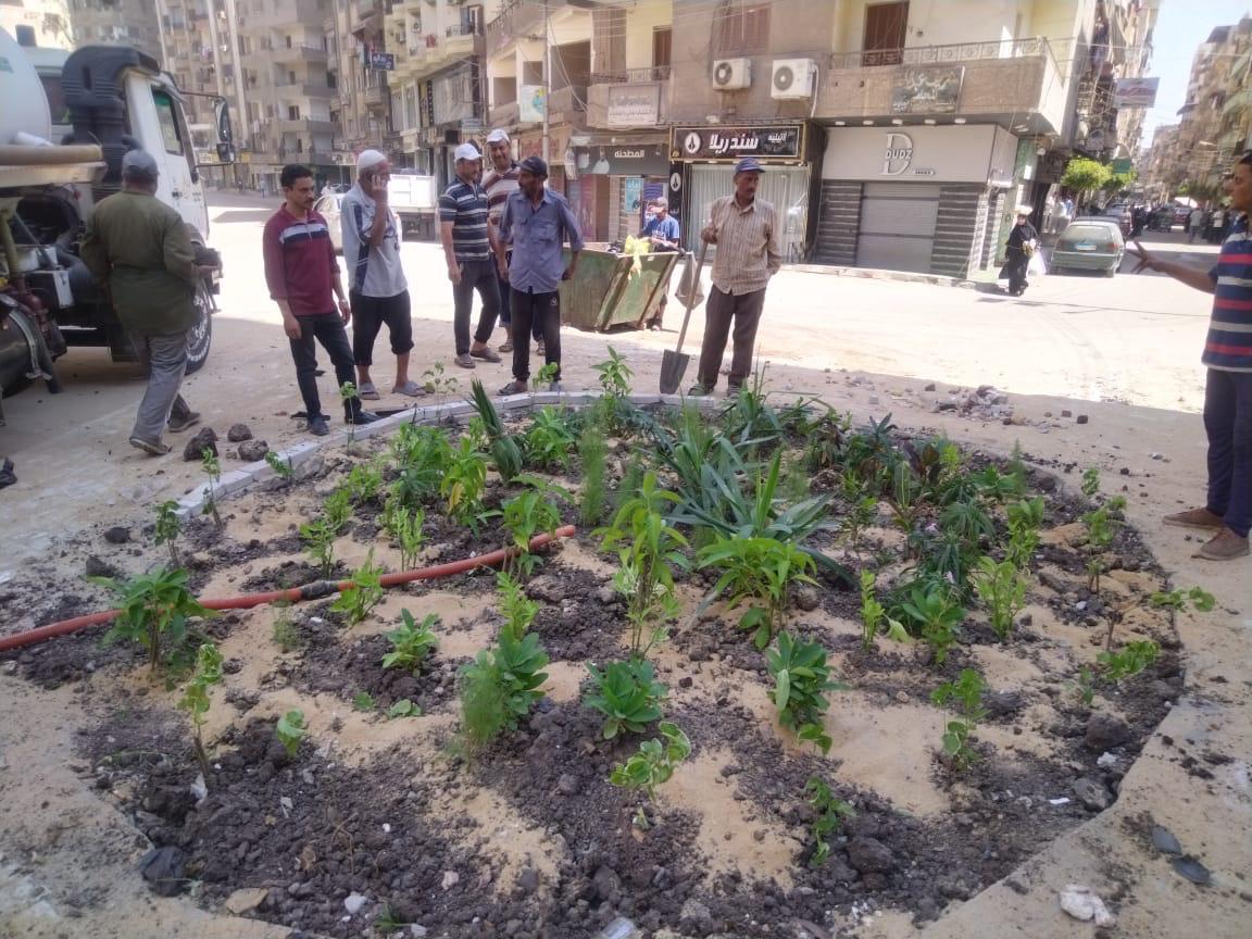 أعمال التشجير والتجميل&nbsp;