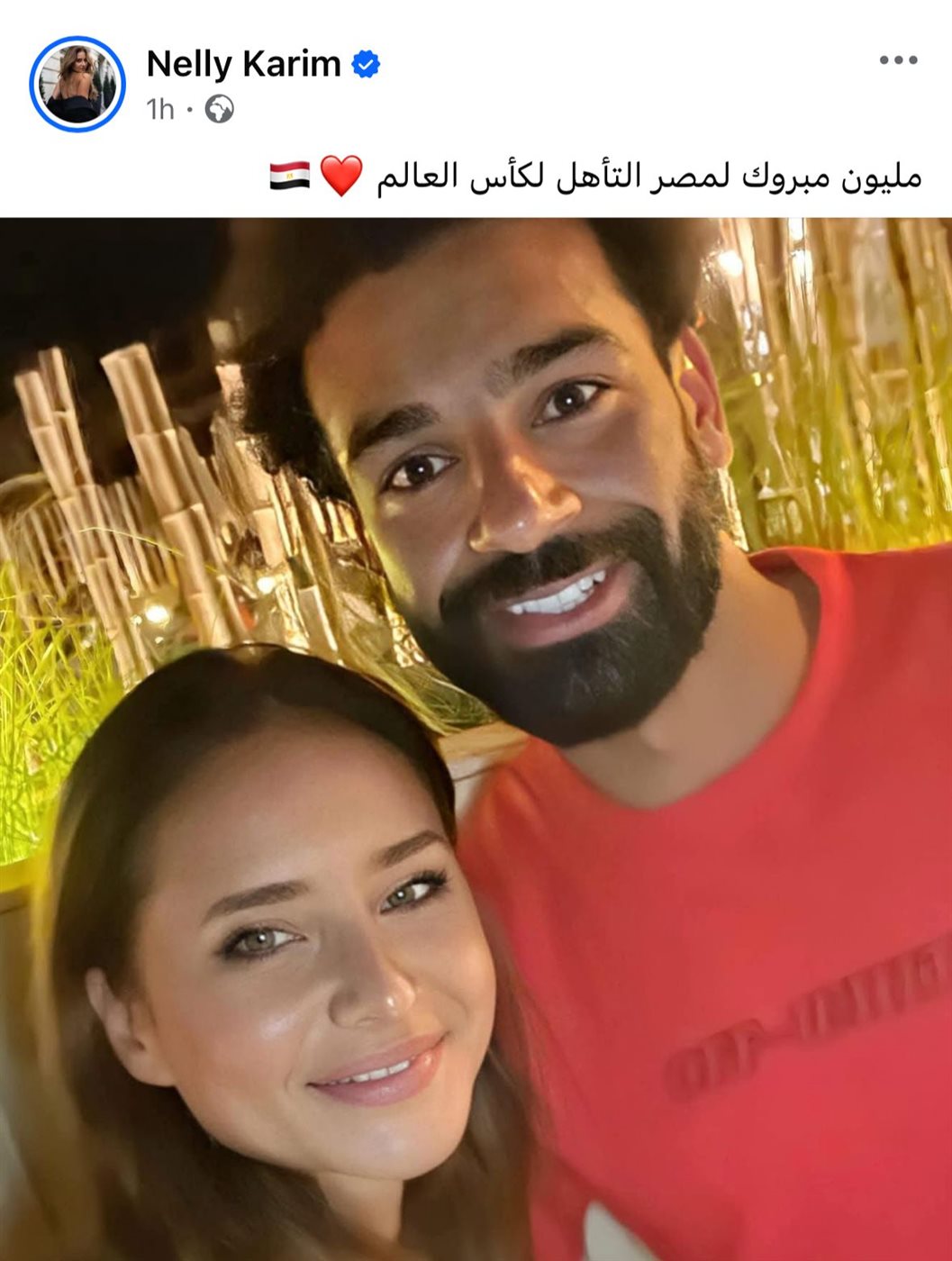 نيللي كريم&nbsp;