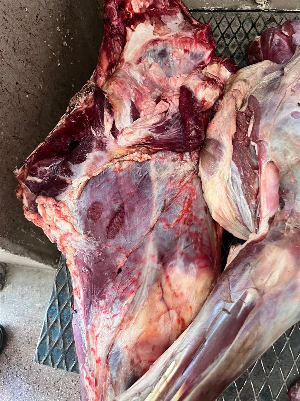 ضبط لحوم بأختام مزورة بالأقصر&nbsp;
