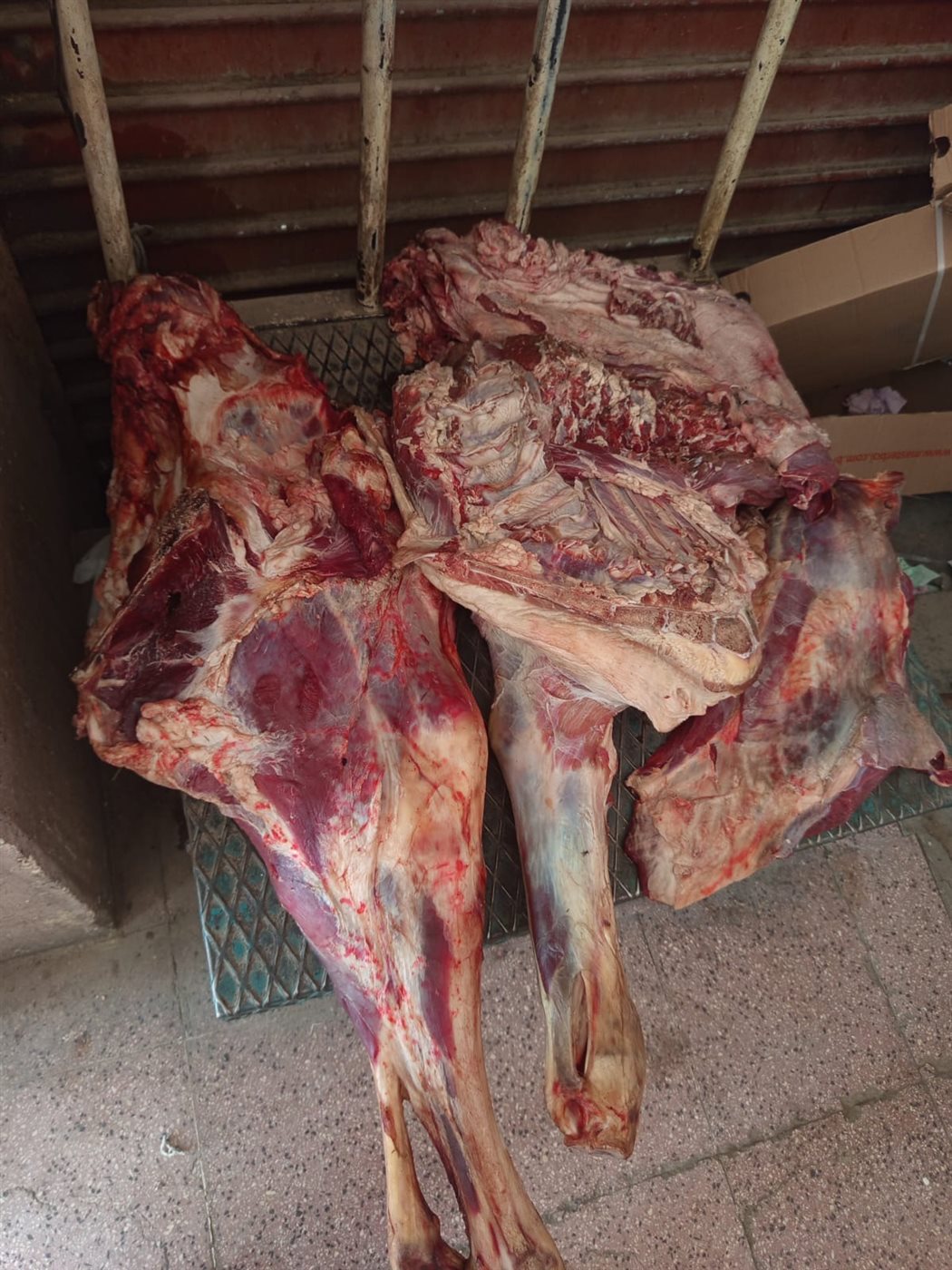 ضبط لحوم بأختام مزورة بالأقصر&nbsp;