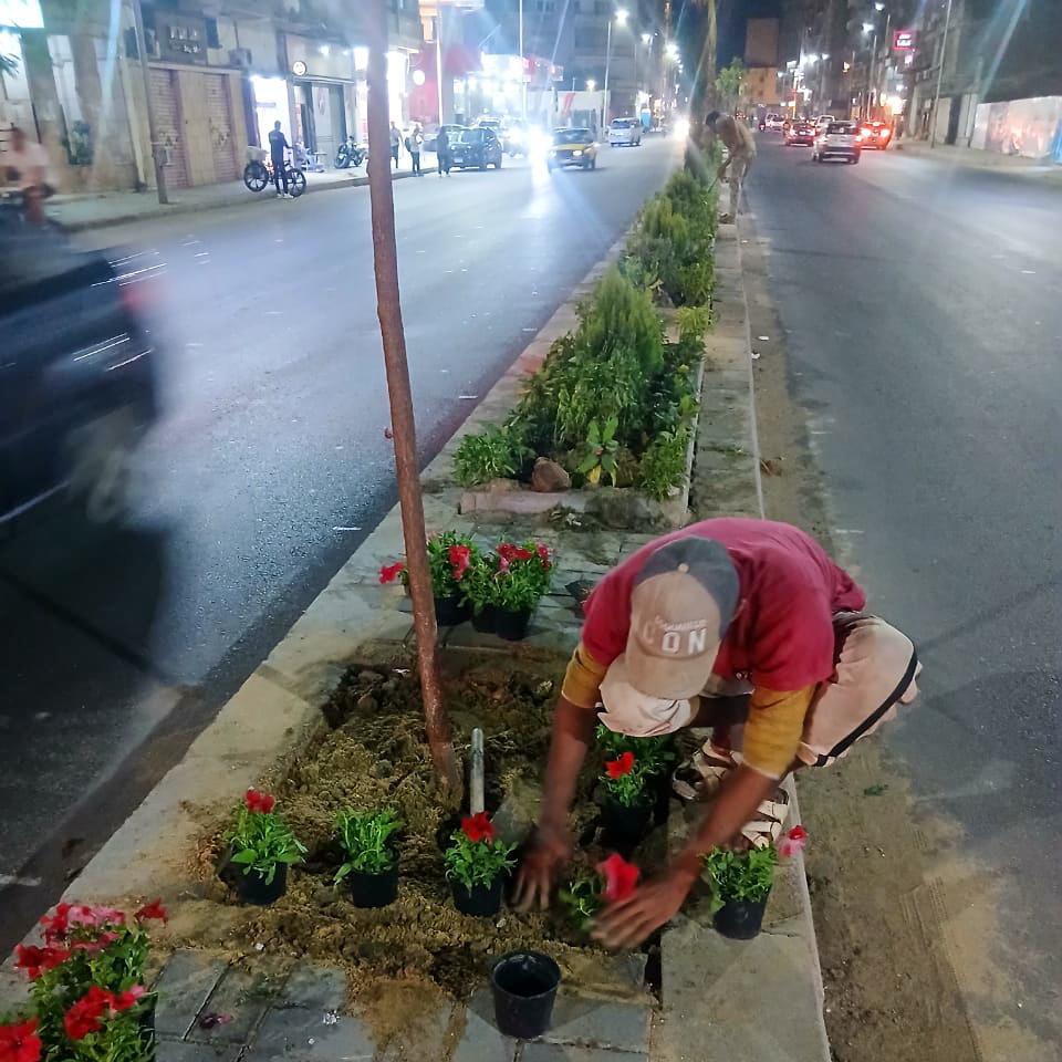 اشجار&nbsp;