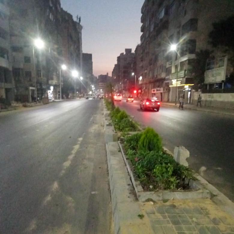 اشجار&nbsp;