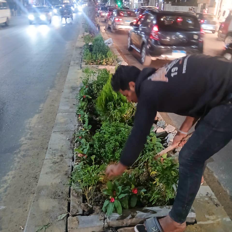 اشجار&nbsp;