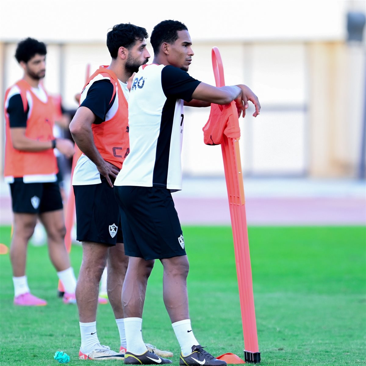 <strong>صور مران الزمالك&nbsp;</strong>