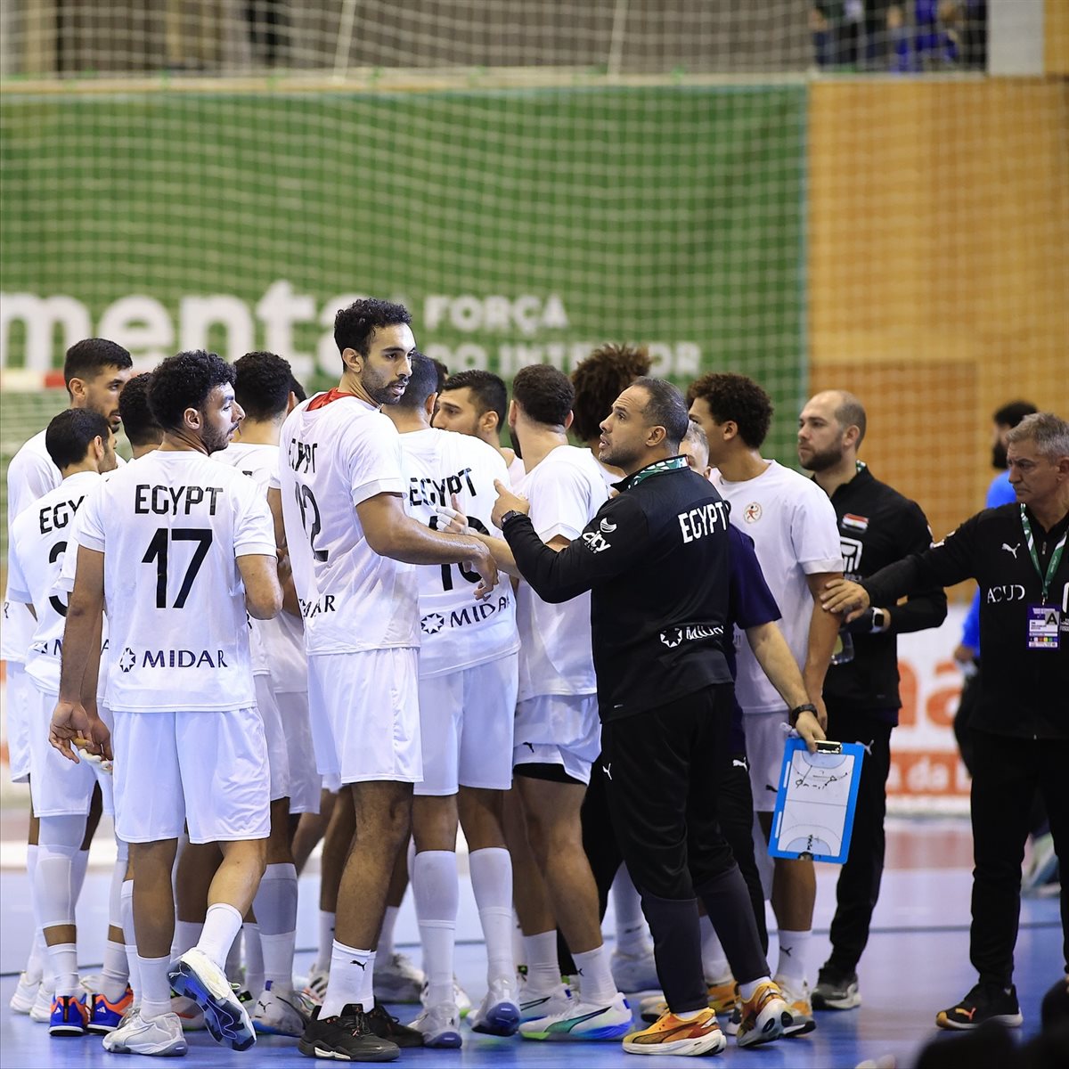 منتخب اليد